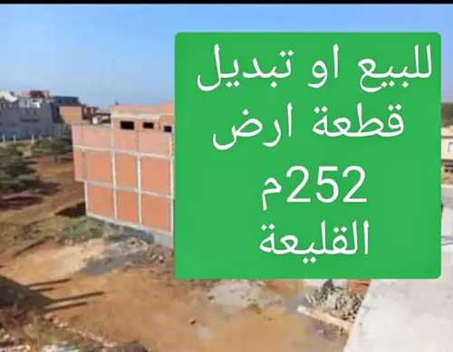 Vente Terrain Tipaza Kolea
