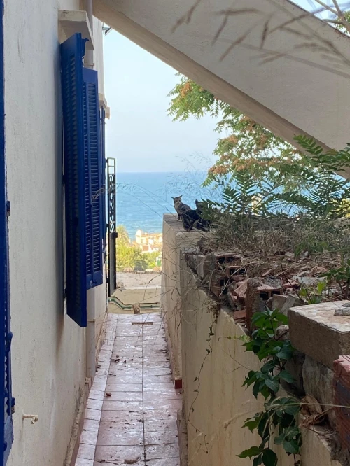 Vente Villa Alger Bologhine