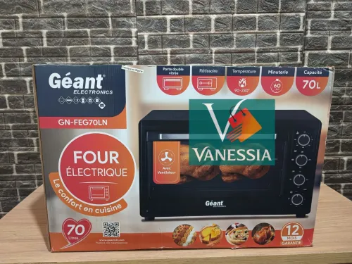 Four électrique marque Géant 70L 