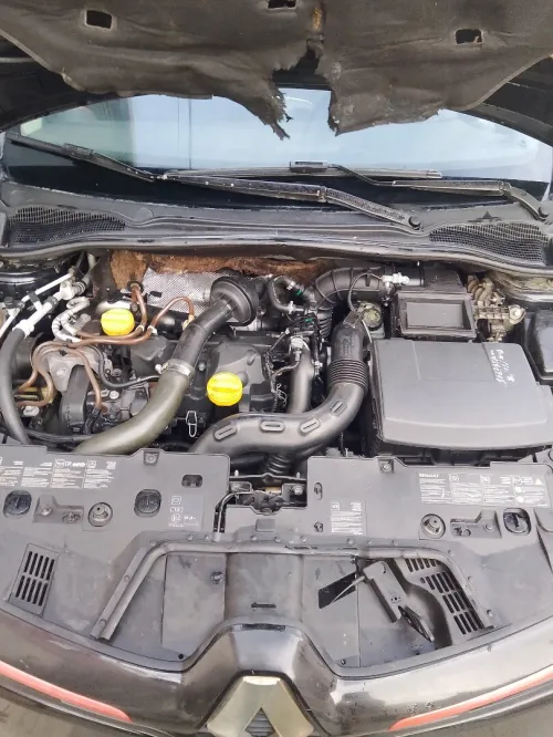 Renault Clio 4 2013 Exception