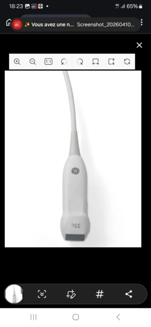 Sonde 3SC-RS GE