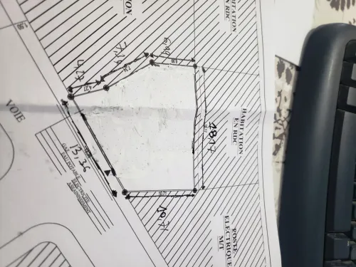 Vente Terrain Tipaza Hadjout 4