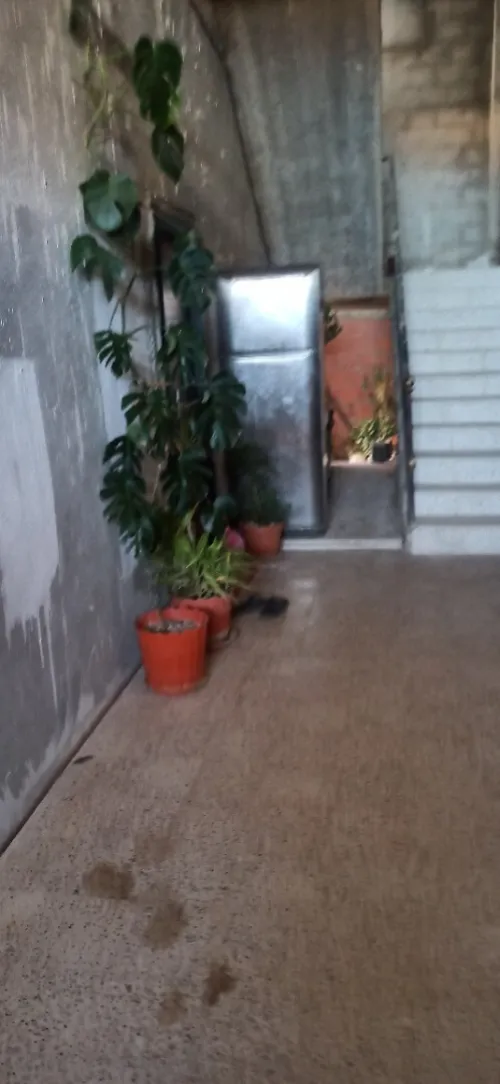 Location Appartement F3 Tipaza Cherchell