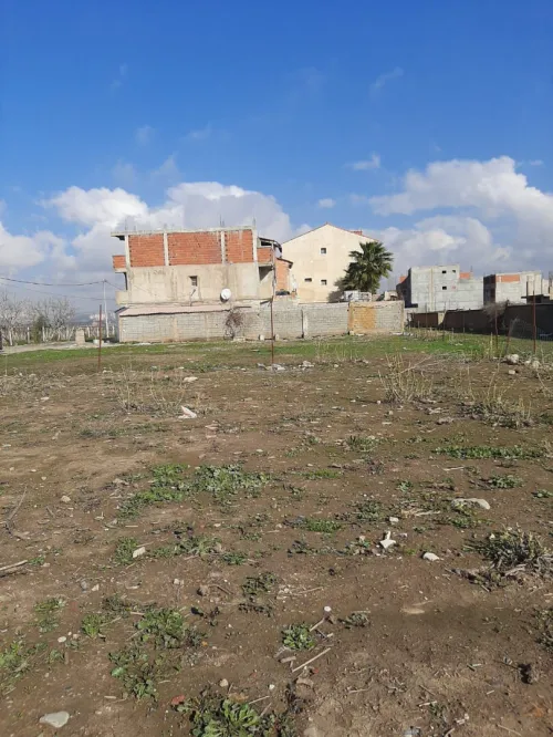 Vente Terrain Alger Tessala el merdja