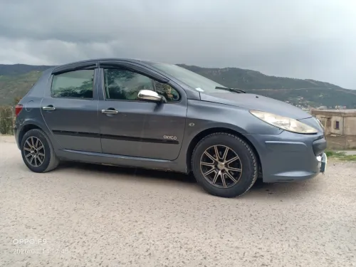 Peugeot 307 2006 Oxygo