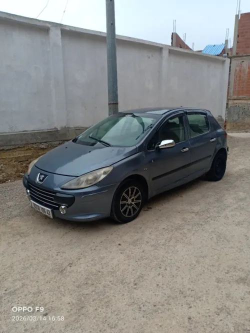 Peugeot 307 2006 Oxygo