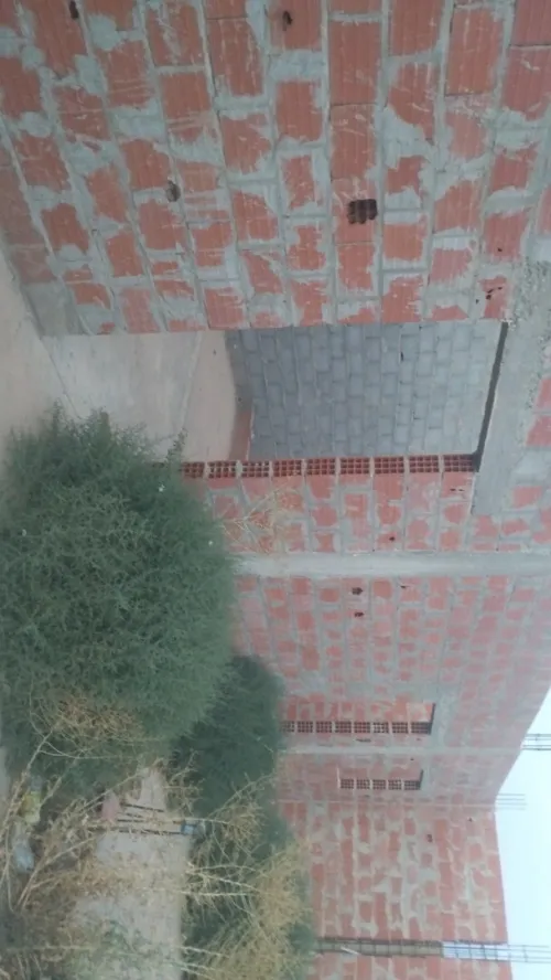 Vente Terrain Tébessa Bir el mokadem