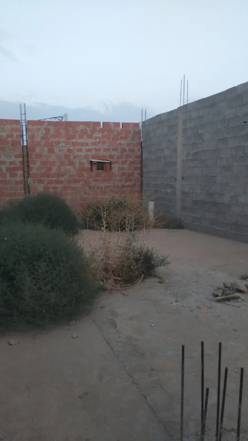 Vente Terrain Tébessa Bir el mokadem