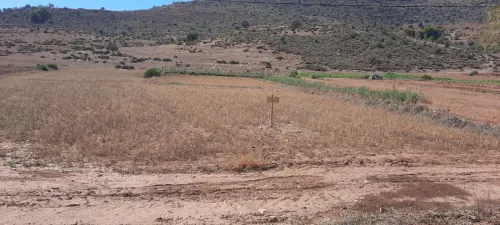 Vente Terrain Tlemcen Ain fezza