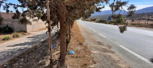 Vente Terrain Tlemcen Ain fezza