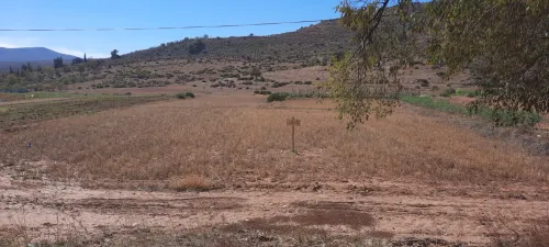 Vente Terrain Tlemcen Ain fezza