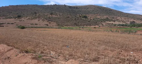 Vente Terrain Tlemcen Ain fezza