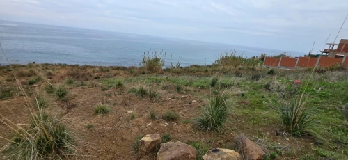 Vente Terrain Tizi Ouzou Azeffoun