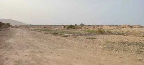 Vente Terrain Agricole Biskra El hadjeb