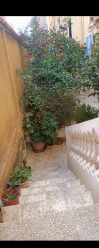 Vente Villa Alger Hammamet