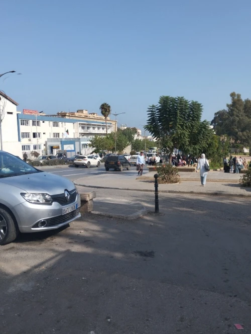 Vente Local Alger Alger centre