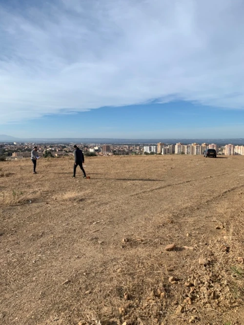 Vente Terrain Blida Blida