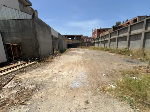 Location Hangar - Usine Alger Birtouta