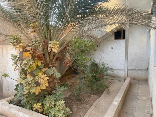 Location Villa Ouled Djellal Ouled Djellal