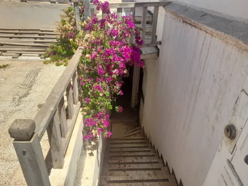 Location vacances Bungalow Oran Ain el turck
