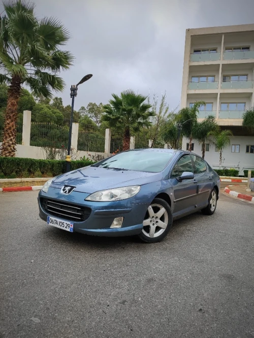 Peugeot 407 2005 407