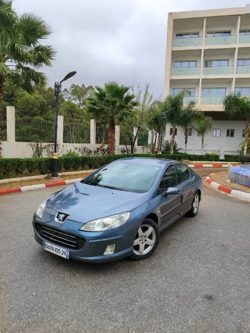 Peugeot 407 2005 407