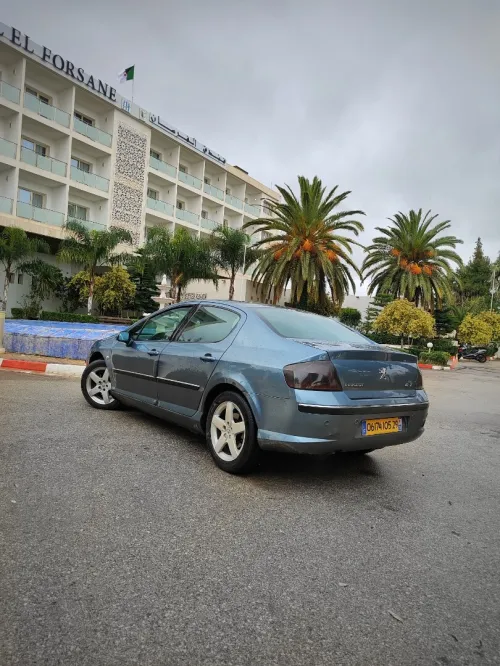 Peugeot 407 2005 407