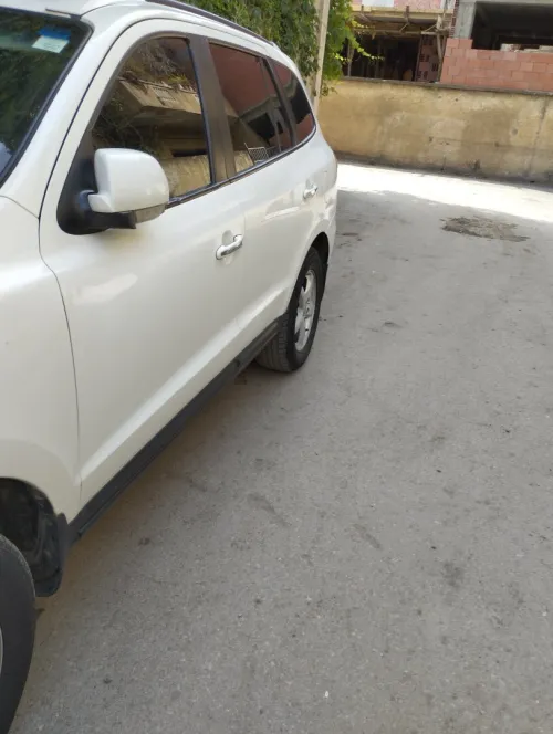 Hyundai SantaFe 2010 SantaFe