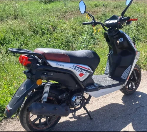 Okinoi Okinoi 2019