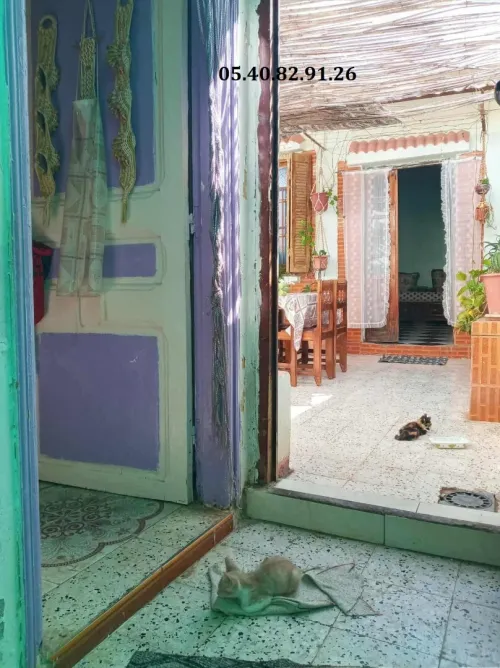 Vente bien immobilier Oran Arzew 3