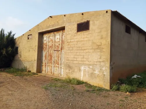 Location Hangar - Usine Aïn Témouchent Tamzoura