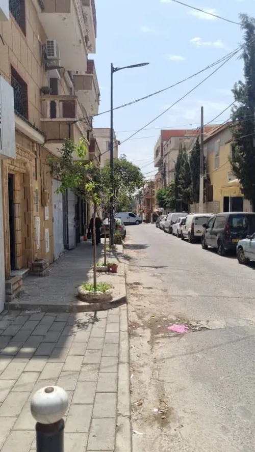 Vente Terrain Alger Draria