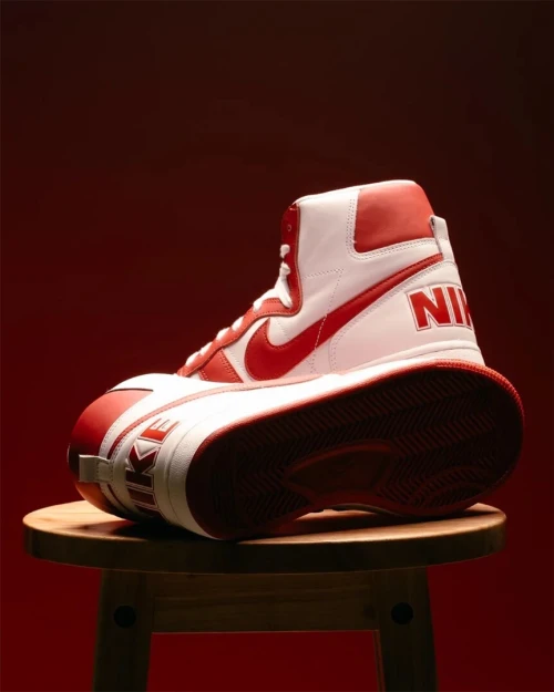Nike jordan terminator Original la France