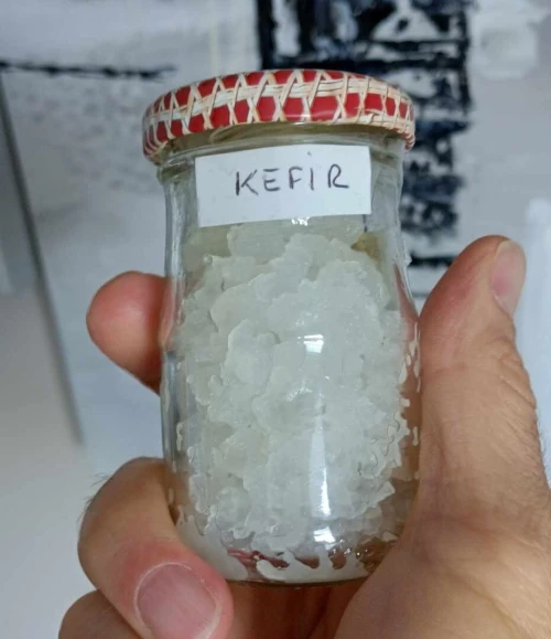 kéfir de fruit