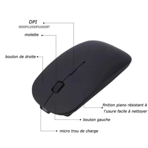 SOURIS SANS FIL RECHAREABLE AP 1000 BLEUTOOTH + 2.4G