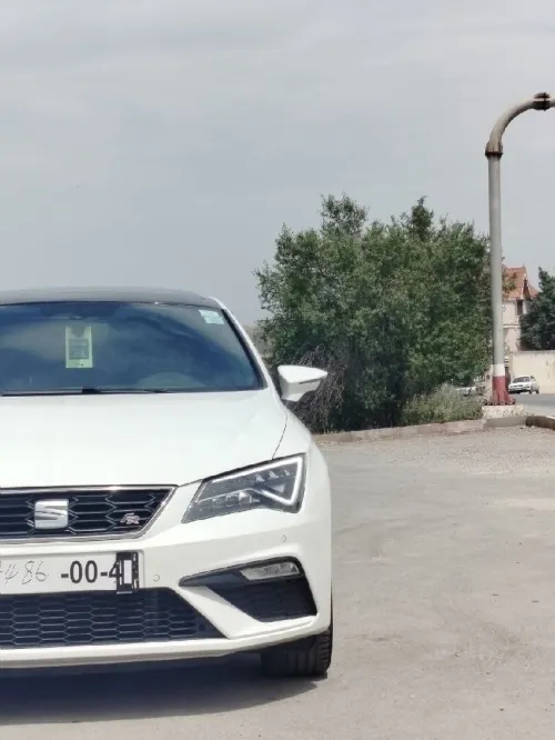 Seat Leon 2019 FR+15