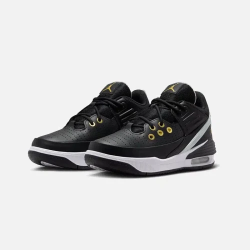 Jordan max aura 5 homme