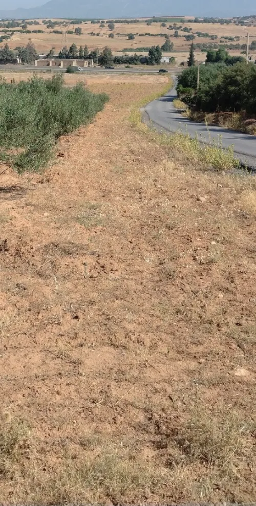 Vente Terrain Bouira Bechloul