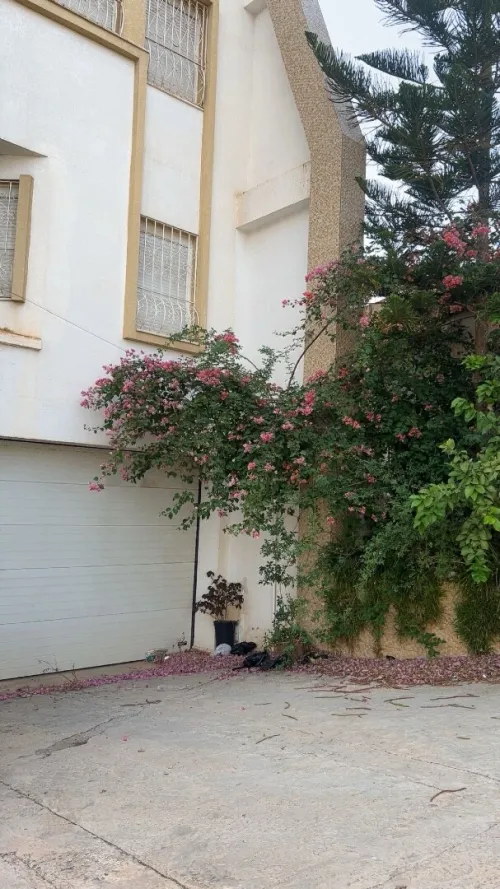Vente Villa Alger Staoueli