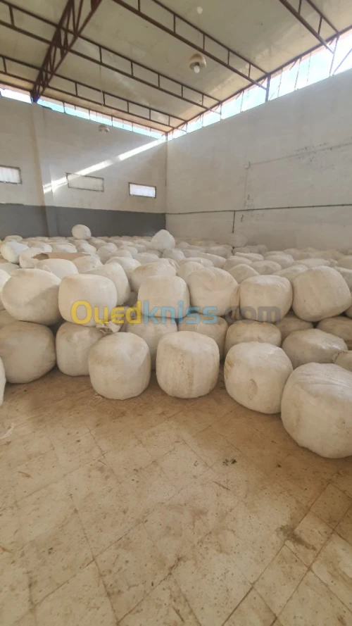 بيع الصفصفة والتبن ولونسيلاج