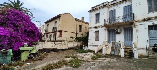 Vente Terrain Alger Bologhine