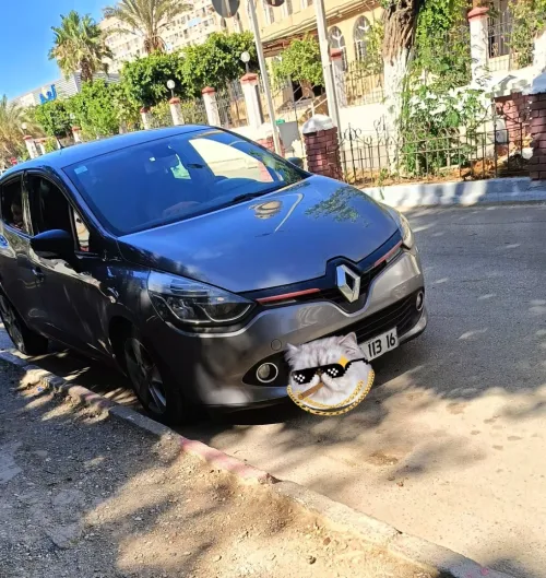 Renault Clio 4 2013 Exception