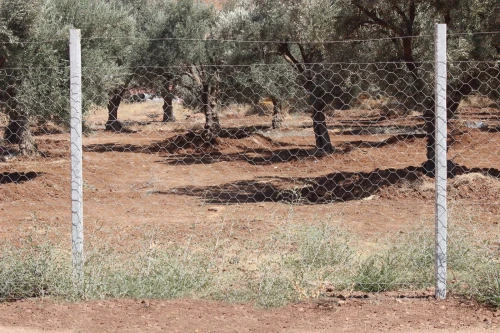 Poteaux agricoles et poteaux de clôtures. 