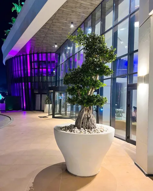 Pots de fleurs en GRC 