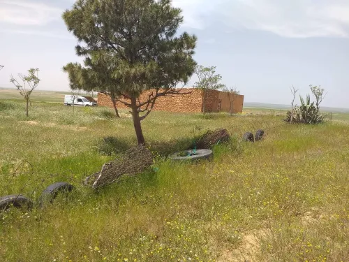 Vente Terrain Agricole Tiaret Naima
