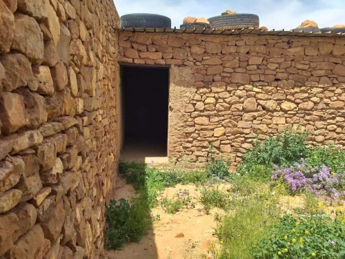 Vente Terrain Agricole Tiaret Naima