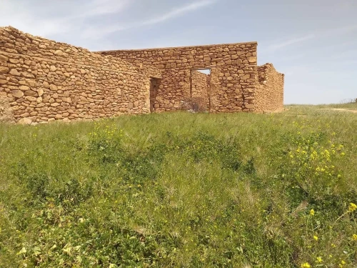 Vente Terrain Agricole Tiaret Naima