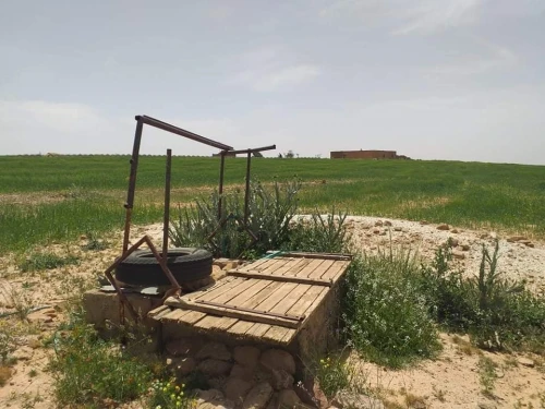 Vente Terrain Agricole Tiaret Naima