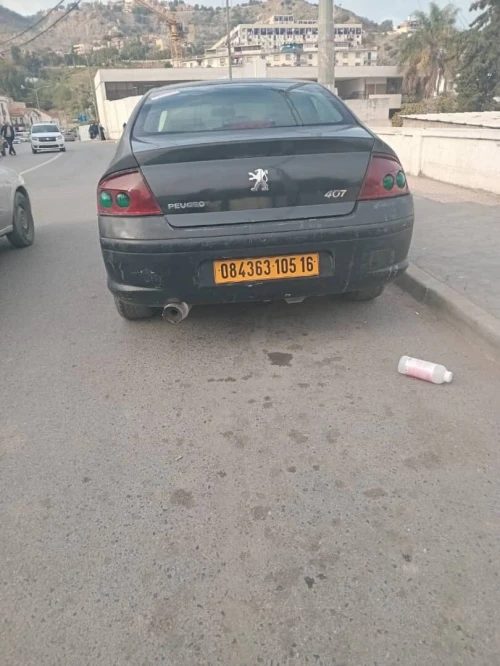 Peugeot 407 2005 407