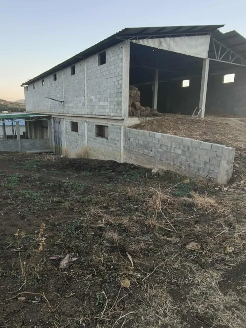 Location Hangar - Usine Mila Grarem gouga